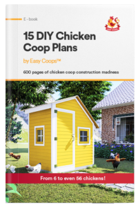 Chicken coop plans